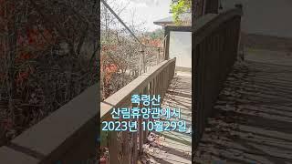 [남양주시 축령산 산림휴양관에서]2023년 보내기가 아쉬워요
