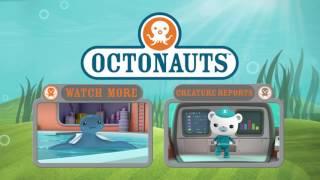 Octonauts: Creature Report - Reef Lobster