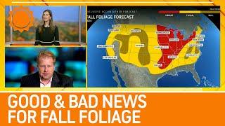 Fall Foliage Forecast: Good News & Bad News For Some