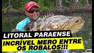 PESCARIA NO LITORAL DO PARÁ - INCRÍVEL MERO ENTRE ROBALOS !!!