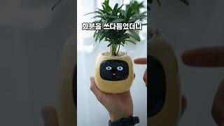 화분을 쓰담쓰담하면 #화분만들기 #식물초보 #꿀템 #인테리어소품