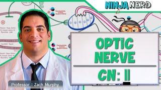 Neurology | Optic Nerve | Cranial Nerve II: Visual Pathway and Lesions