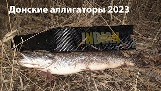 Донские аллигаторы 2023 ночная подводная охота 2023 охота на щуку 2023 весенняя щука 2023