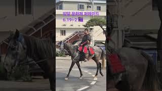 "양양 문화축제 한복판에서 만난 로컬의 힘!｜디지털 유목민의 비즈니스 여행 브이로그"