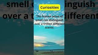 Curiosites