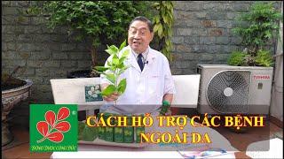 CÁCH HỖ TRỢ CÁC BỆNH NGOÀI DA - Lương Y Nguyễn Công Đức