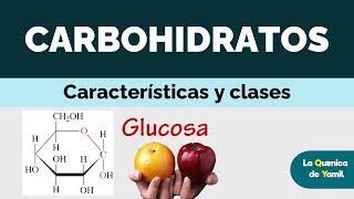 CARBOHIDRATOS | ESTRUCTURA Y CLASIFICACIÓN