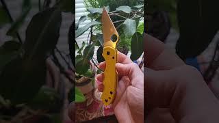 This thing is a beauty! Spyderco Para 3 Salt in CPM-Magnacut. #edc #knives #magnacut #fyp