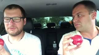 КАКИЕ ЦЕНЫ В АБХАЗИИЭТО ПРОСТО ЖЕСТЬ