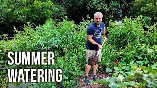 Summer Watering - Sudden Plant Death Season