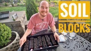 Soil Blocking Zinnias and Sunflower Steve's Sunflowers | The Southerner's Northern Garden