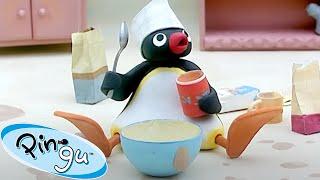 Chef Pingu  | Pingu - Official Channel | Cartoons For Kids