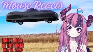 Mouse Reacts to Daily Dose of Internet: Craziest Animal Encounters of All Time (Mar 10, 2025)