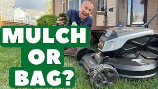 Mulching vs. Bagging Grass Clippings: Which is Better for Your Lawn?