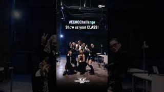 [#WSWF] #ECHOChallenge 리더 계급 | 6 CREW LEADERS