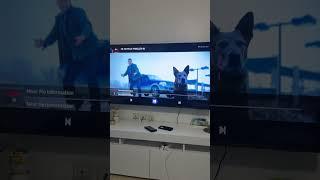 Iptv smarters pro in sumsung Tv