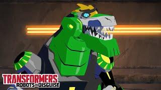 Grimlock Forgets How to Fight!  Transformers: Robots in Disguise | Comp 8 | Transformers TV |