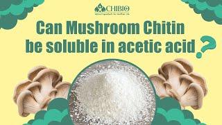 Can Mushroom Chitin be soluble in Acetic acid？ -Chibio