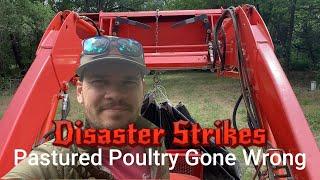 Raising Pastured Poultry | Moving from Brooder to Pasture