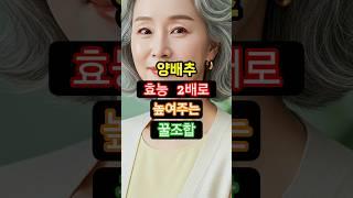 양배추, 잘못 먹으면 오히려 독 됩니다! 60대 이상 꼭 보세요
