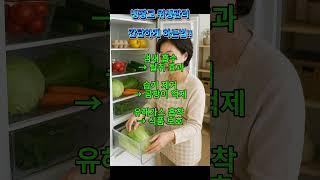 냉장고 안에 숯을 넣어두면 냄새와 습기를 동시에 흡수해 오래된 음식 냄새도 자연스럽게 사라집니다.