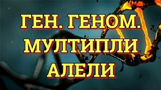 ЗОШТО СЕ ВЕЛИ, НАСЛЕДУВАЊЕ НА ГЕНИ? ГЕН. ГЕНОМ. МУЛТИПЛИ АЛЕЛИ (БИОЛОГИЈА IV)