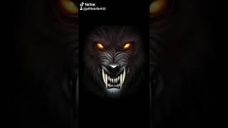 The curse of the werewolf