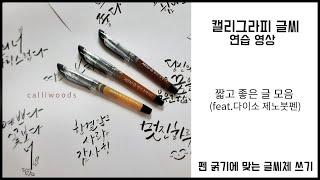 다이소 캘리그라피 제노붓펜 글씨체 연습/가는붓펜, 중간붓펜, 굵은 붓펜에 맞는 글씨 연습하기/짧고 좋은글 모음 영상