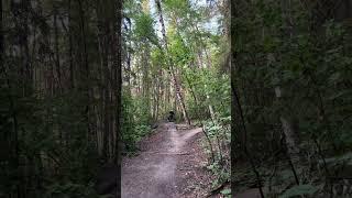 River Vally Ride 2 #albertacanada #albertaparks #bike