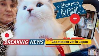 Life in Japan: Cat Attacks Vet and Shopping Haul