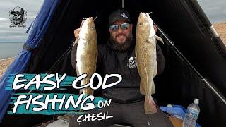 How I Target Cod On Chesil | Easy Fishing With Wayne | Catching Cod 