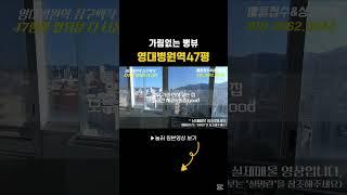 모델급인데,코디가필요한#shortsfeed #shortfeeds #shorts #부동산지니