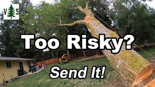 RISKY Tree Falling Near Home!