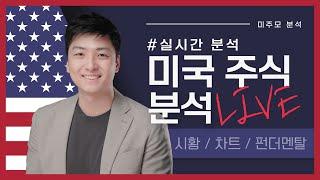 7.12.24 어제 라방에 언급한 LCID, SOUN 바로 급등, 테슬라/엔비디아 업그레이드로 상승! 오늘은 요청주식 분석합니다(TSLA, NVDA, META, ARM, WULF)