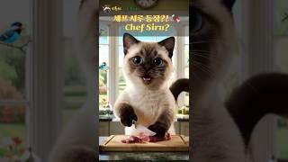 셰프 시루 등장?! 고기를 써는 고양이라니 Chef Siru?! A Cat Cutting Meat Like a Pro  #cat #cute #고양이 #고양이셰프 #catchef