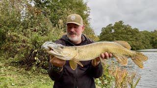 Fishing Himley Hall for Pike