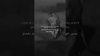 #موفقیت #explore #انگیزه #motivation #کلیپ #edit #انگیزشی #boxing #دیسیپلین #موفقیت_فردی