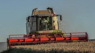 Weizenernte 2016 / Claas Lexion 550 / Fendt+Valtra / Schlaiß GBR *[Full HD]*