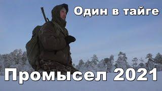 Промысел 2021,один в тайге,зимовье,быт,вдали от цивилизации #3