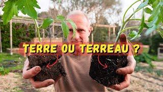 Terre ou terreau pour nos semis en contenant ? #potager