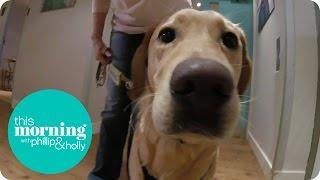 Clover Cam - This Morning Through A Puppy's Eyes | This Morning