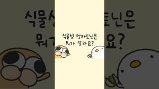 식물성 멜라토닌은 다른 건가요