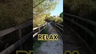 RELAX #relax #passeggiata #camminata #viaggi #viaggio #lvs #laverasquadra