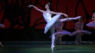 Dulcinea Variation (Don Quixote): Zakharova, Osipova, Nunez