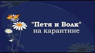 "Петя и волк" на карантине." Счастливое детство" Харьков.