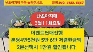 3월11화요일 .이벤트판매 .2분선택시 1만원 할인됩니다