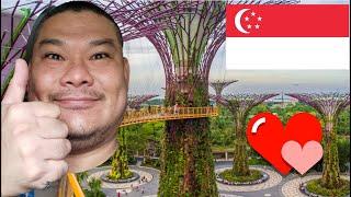 The Ultimate Guide to Visiting Gardens by the Bay Without Spending a Dime, Ric Travel Vlog