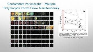 Solid Form Selection in the Pharmaceutical Industry: Solid Form Characterization Techniques (3 of 5)