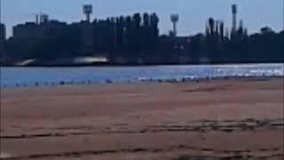 Las Gaviotas en Volga