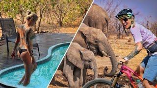 Biken mit Elefanten! 8 Tage afrikanische Wildnis!